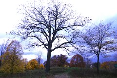 photo 0233